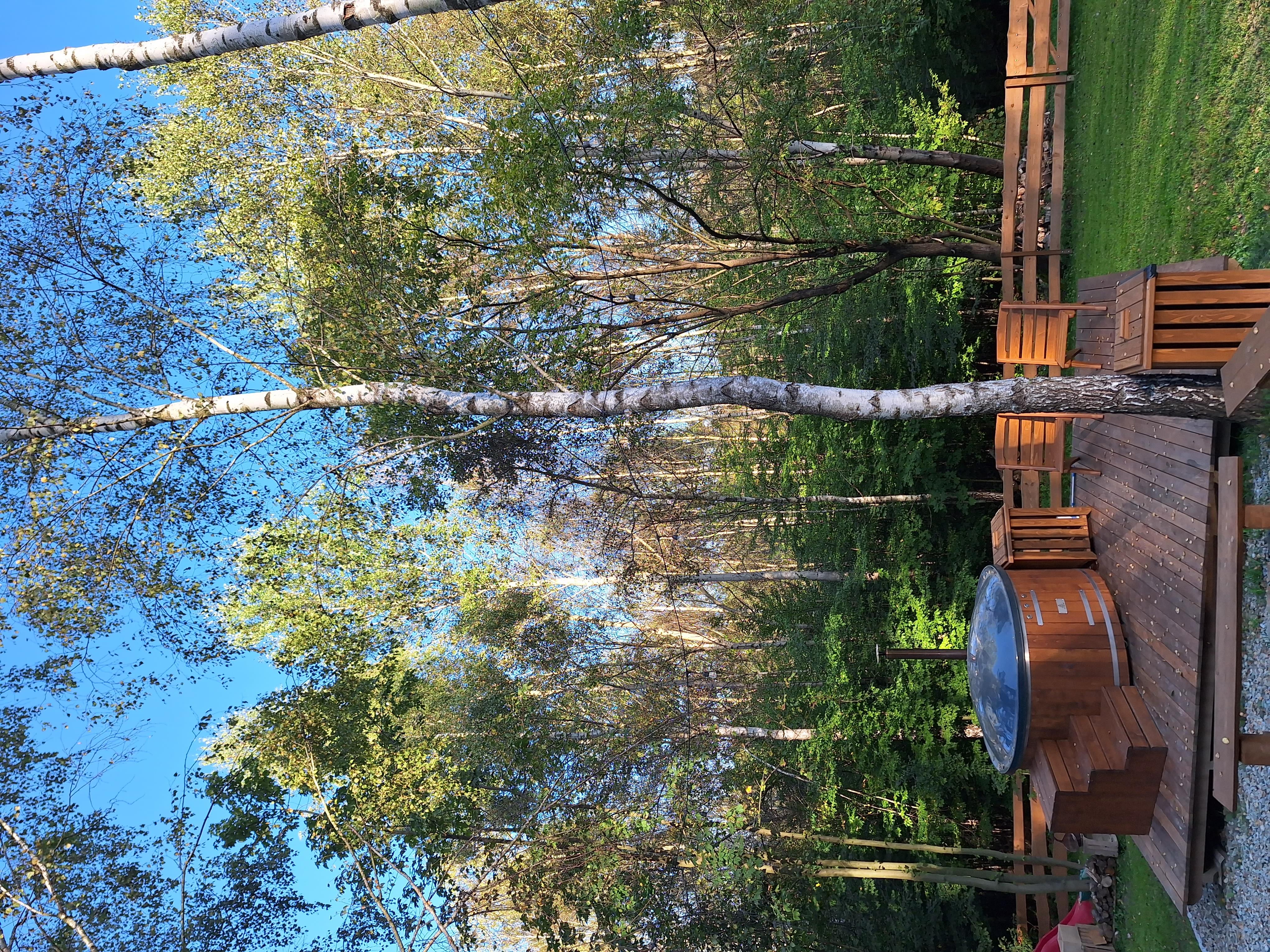 Zdjęcie numer dwadzieścia