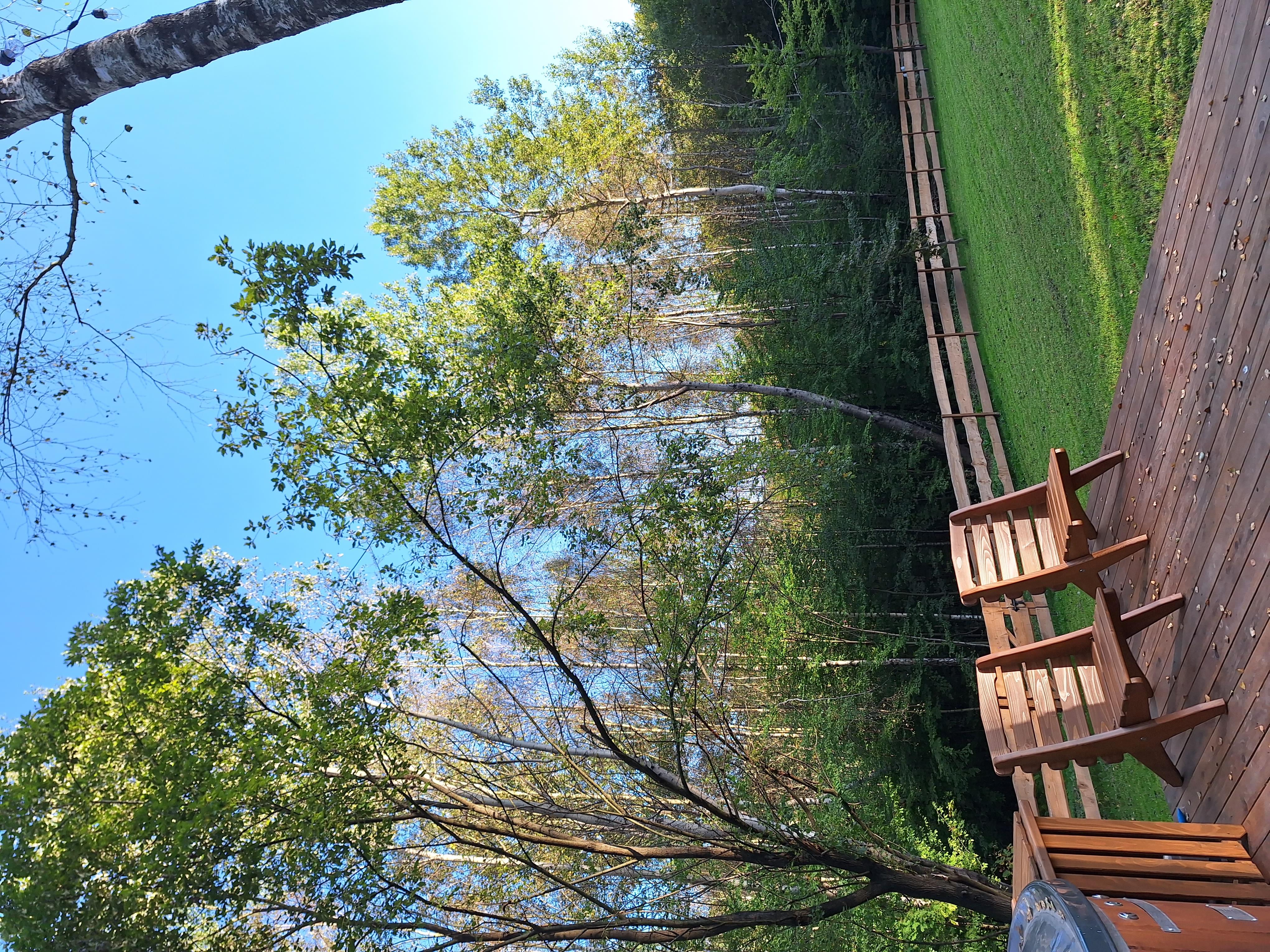 Zdjęcie numer dwadzieścia pięć