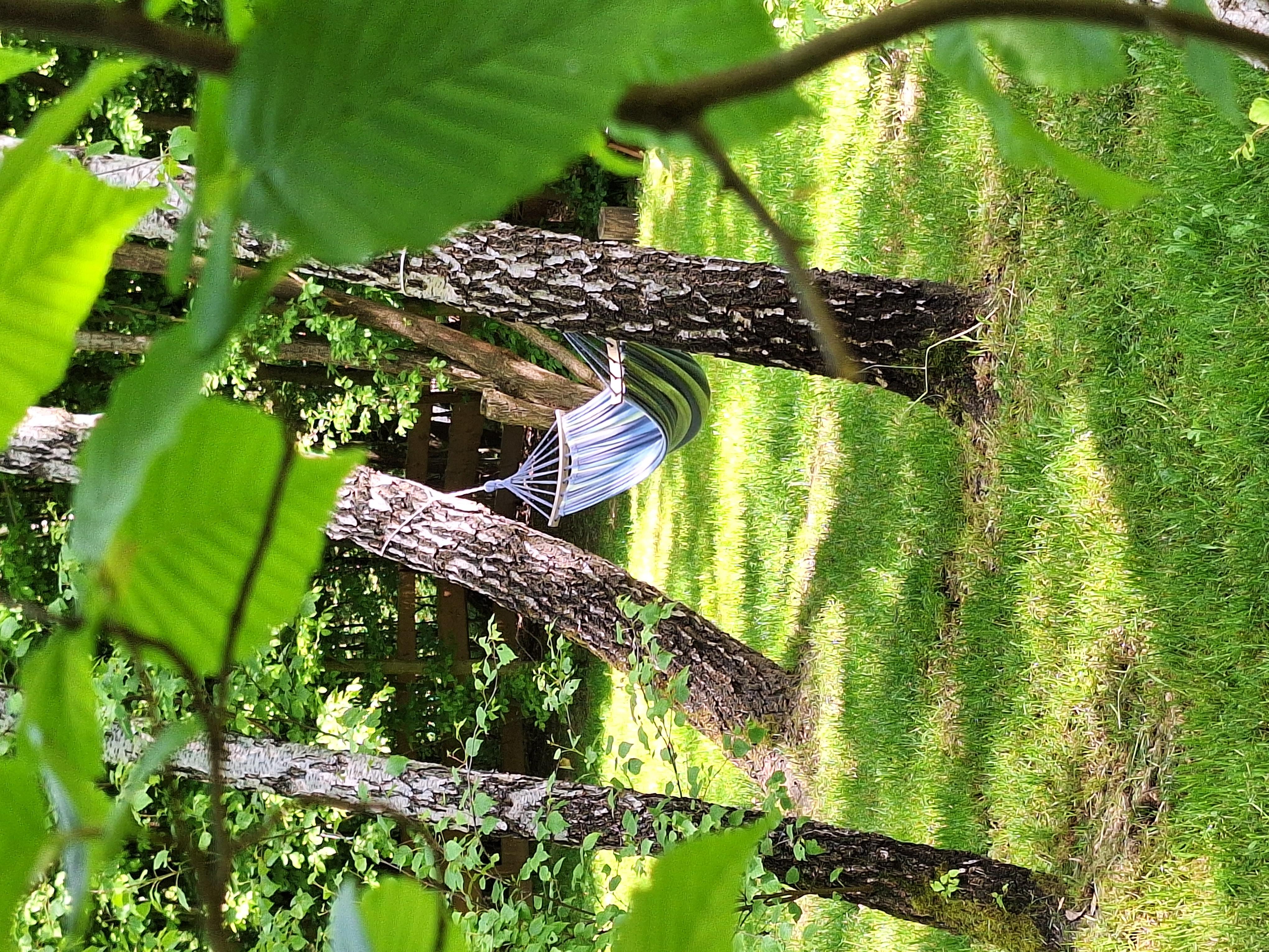 Zdjęcie numer dwadzieścia dziewięć