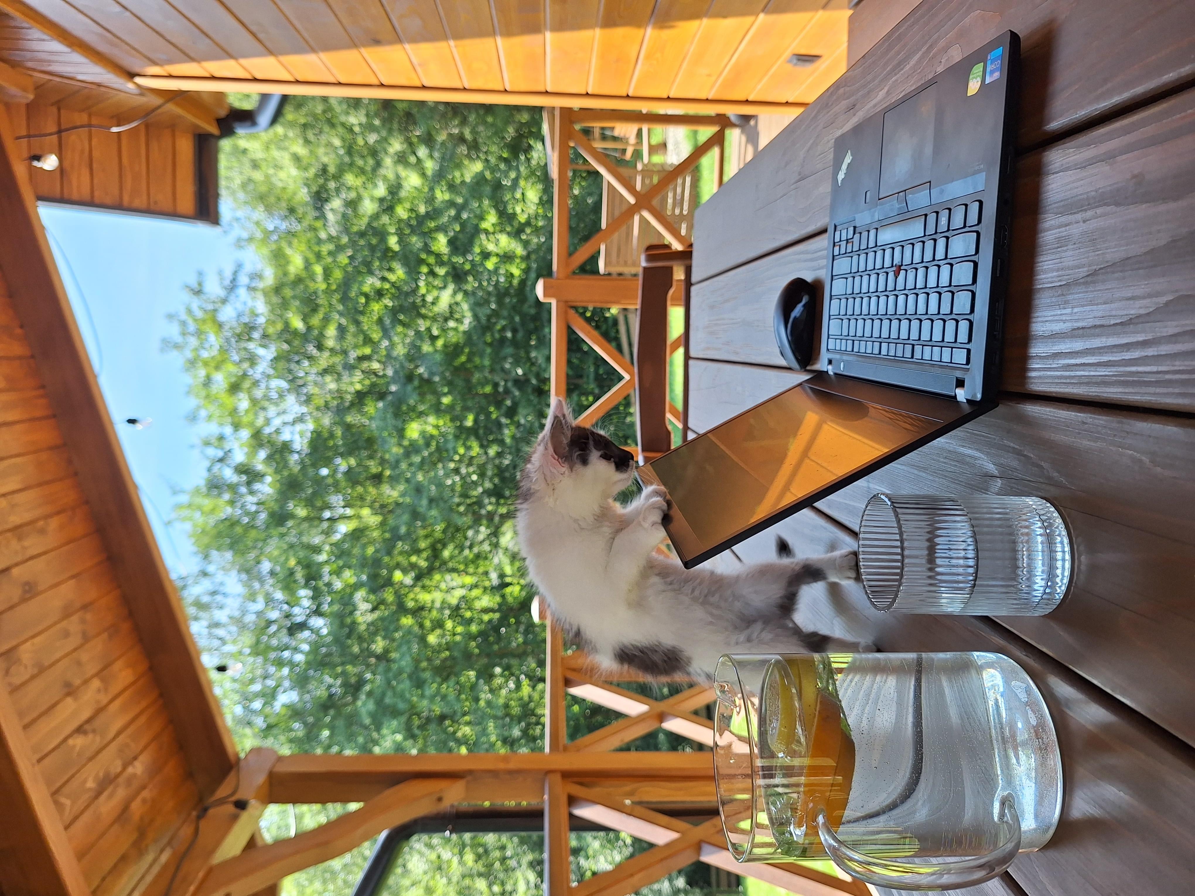 Zdjęcie numer trzydzieści