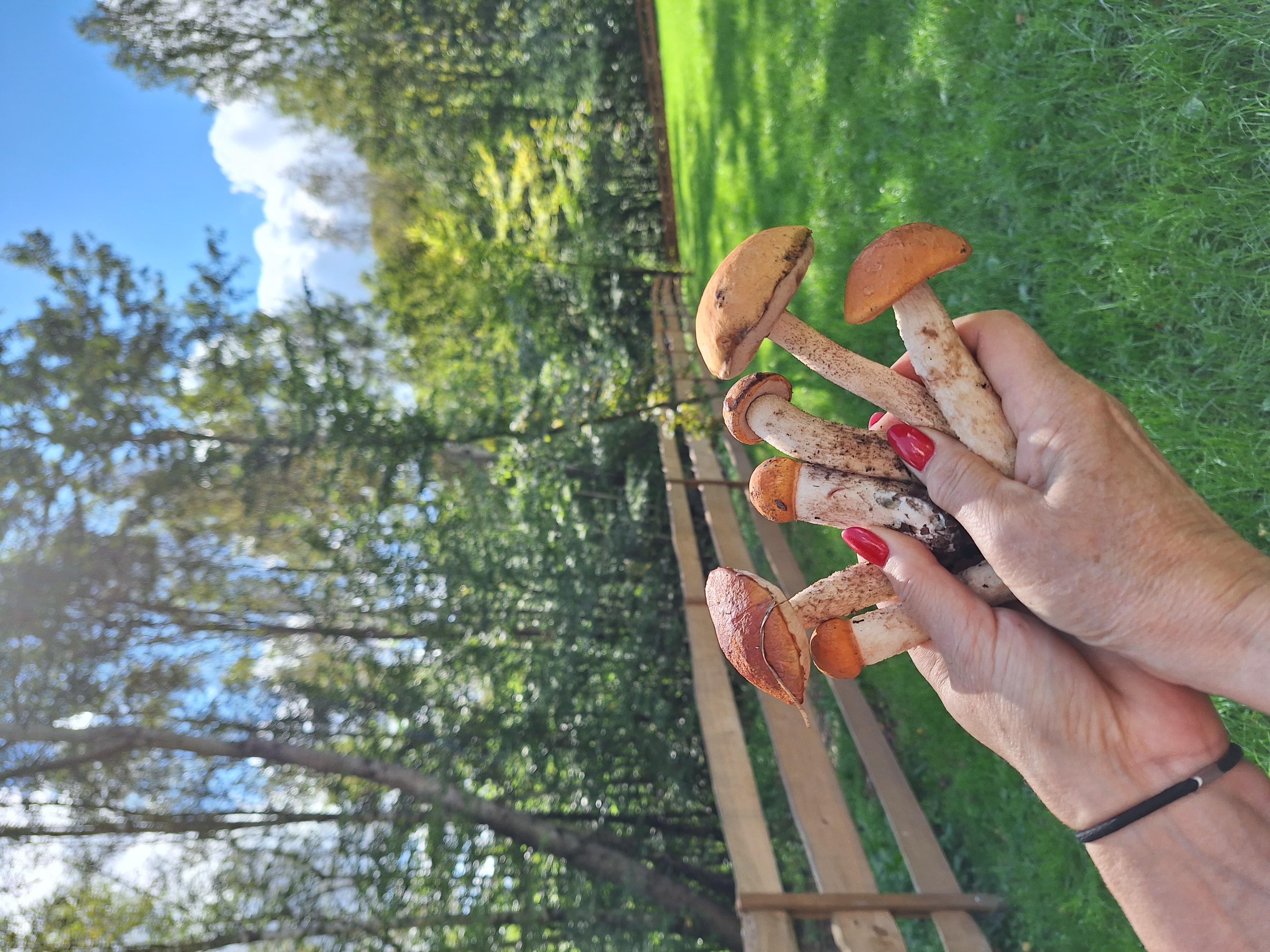 Zdjęcie numer trzydzieści dwa